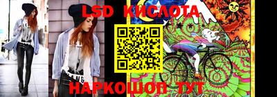 шишки Рыбинск