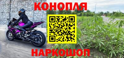 шишки Рыбинск