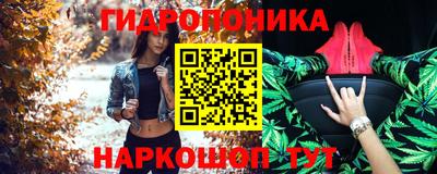 шишки Рыбинск