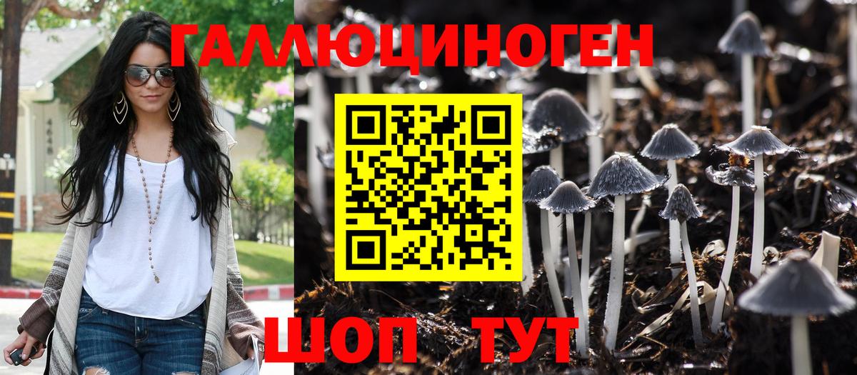 Сергиев Посад  Псилоцибиновые грибы GOLDEN TEACHER  Вход с VPN 